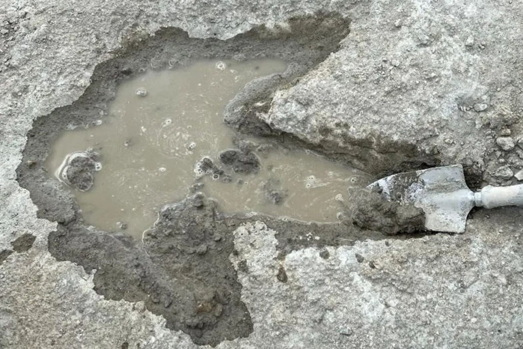 Impronte di dinosauro scoperte in Gran Bretagna