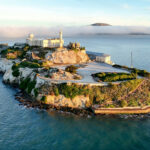 Un coyote ad Alcatraz