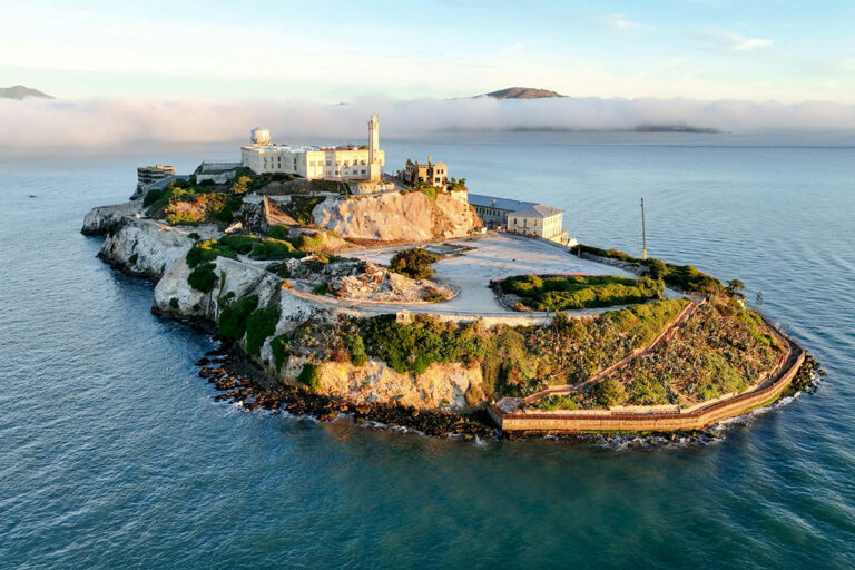 Un coyote ad Alcatraz