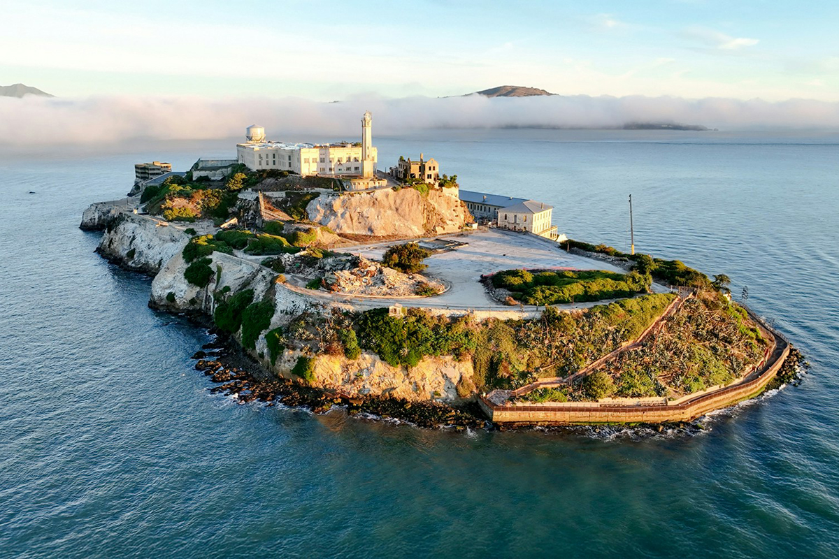Un coyote ad Alcatraz