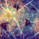 Un test da fare a casa potrebbe individuare l'Alzheimer
