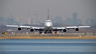 Un aereo cargo 747 partito da New York ha dovuto rientrare dopo che un cavallo a bordo si é liberato