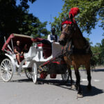Dal 2028 New York dirà addio alle carrozze a Central Park