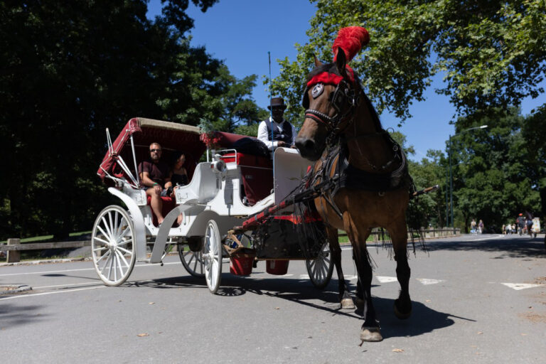 Dal 2028 New York dirà addio alle carrozze a Central Park