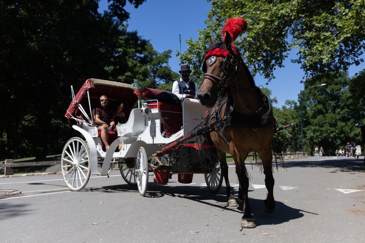 Dal 2028 New York dirà addio alle carrozze a Central Park