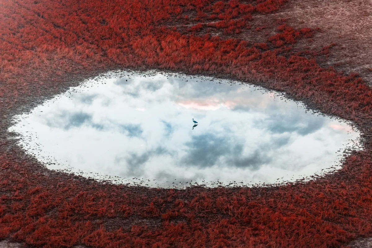 Uno scatto surreale premiato come foto aerea dell'anno