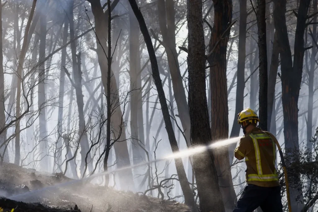 Almeno 12 persone sono morte per un incendio in Spagna
