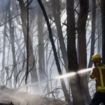 Almeno 12 persone sono morte per un incendio in Spagna