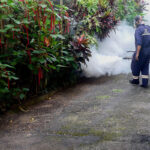Allarme dengue in Sri Lanka, ospedali al collasso e interviene l'esercito con i droni
