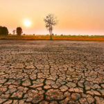 Allarme El Nino, potrebbe essere il più violento degli ultimi 40 anni