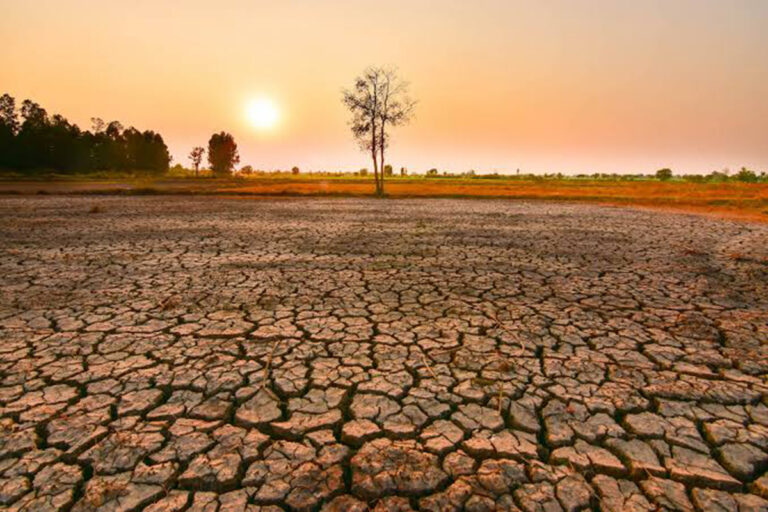Allarme El Nino, potrebbe essere il più violento degli ultimi 40 anni