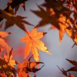 L’equinozio d’autunno non divide il giorno a metà perché notte e giorno non sono uguali