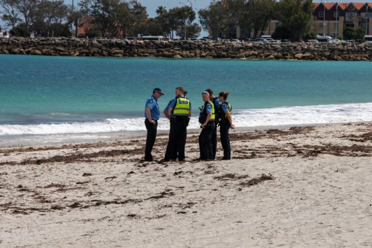 Tragedia a Perth: nuotatore ucciso da uno squalo a Sorrento Beach